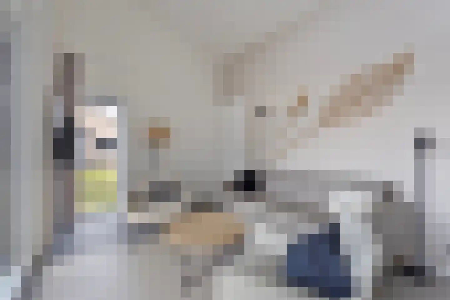 Nieuwesluisweg 1 A 720 Breskens thumbnail 5