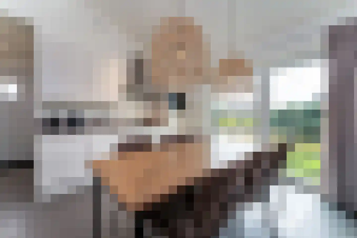 Nieuwesluisweg 1 A 732 Breskens thumbnail 10