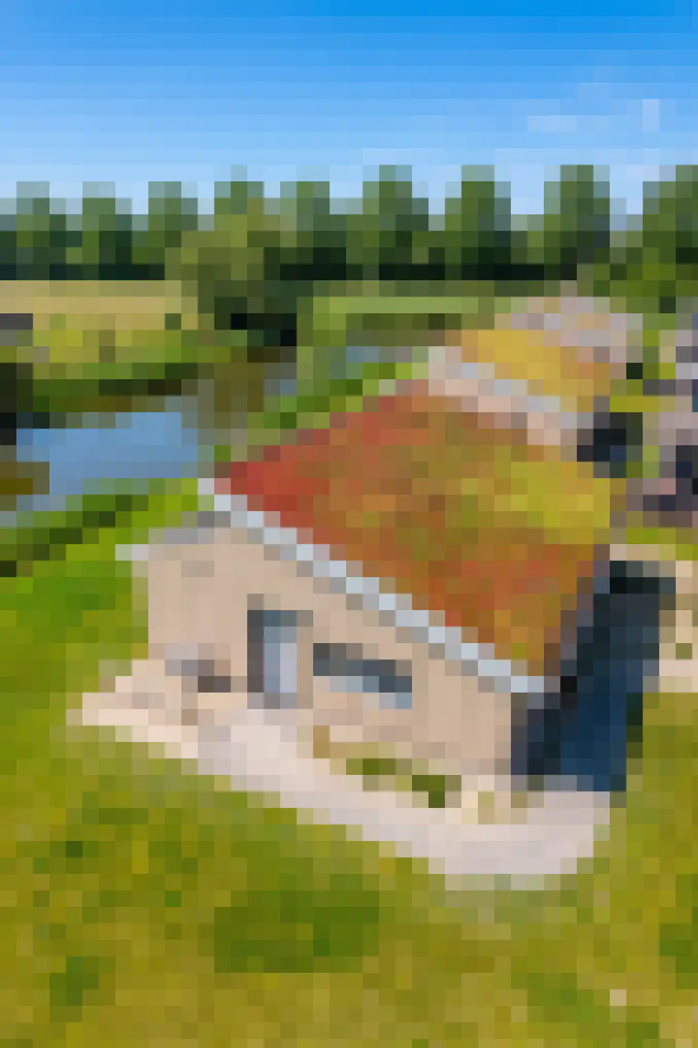 Nieuwesluisweg 1 A 732 Breskens thumbnail 18