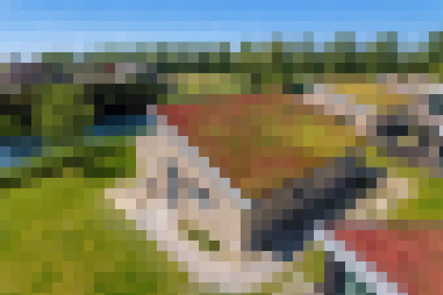 Nieuwesluisweg 1 A 732 Breskens thumbnail 6