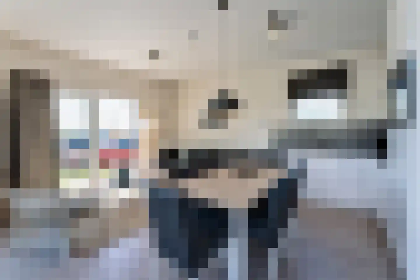 Nieuwesluisweg 1 A 801 Breskens thumbnail 7
