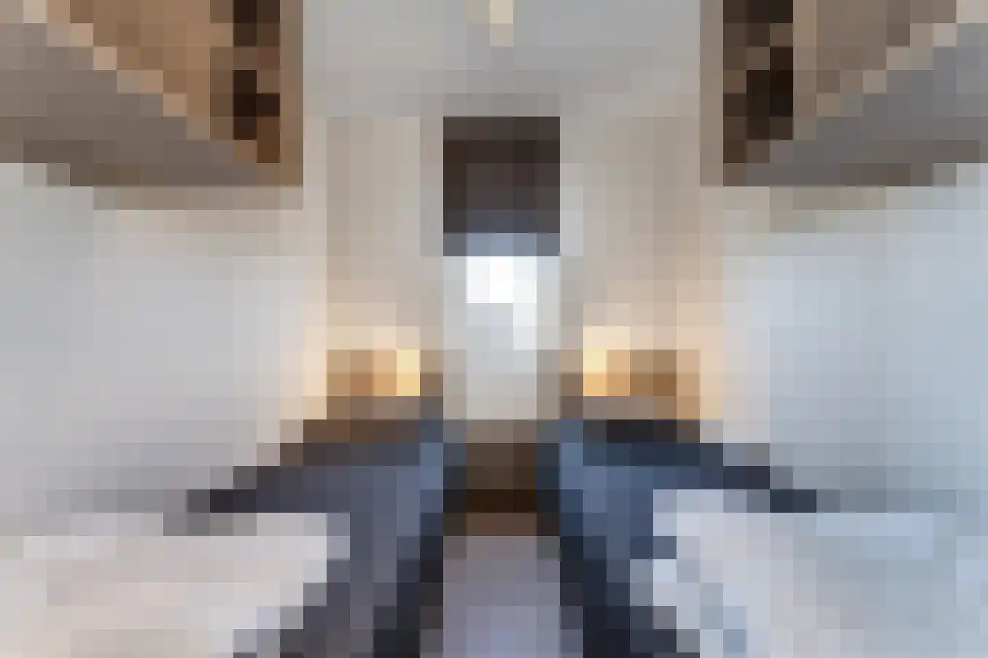 Nieuwesluisweg 1 A 801 Breskens thumbnail 9