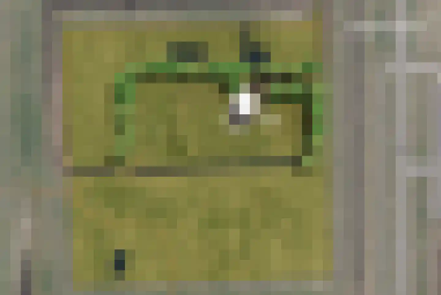 Nieuwesluisweg 11 Breskens thumbnail 12