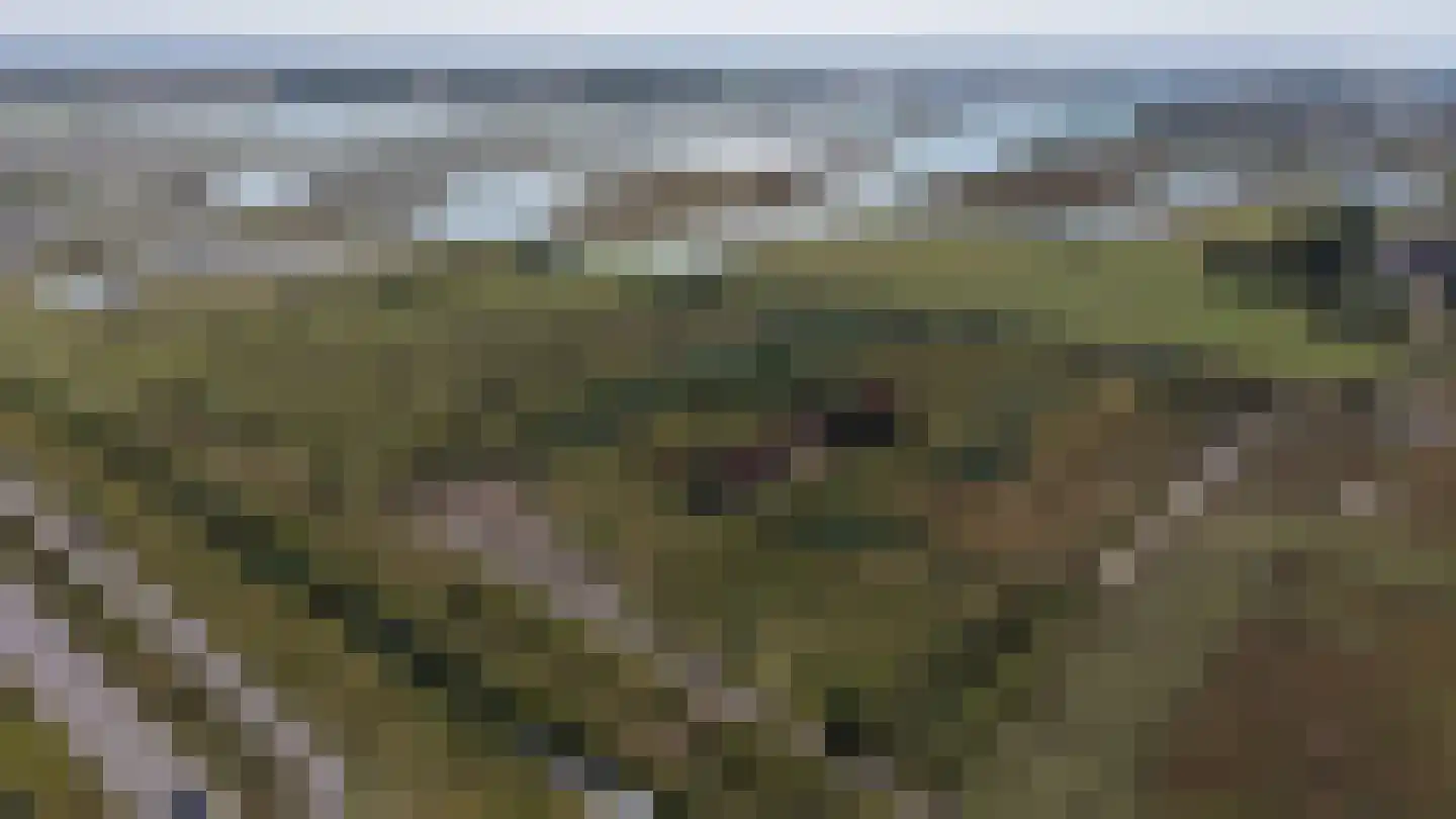 Nieuwesluisweg 11 Breskens thumbnail 15