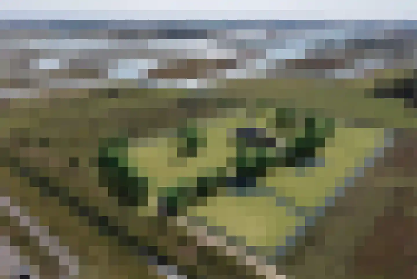 Nieuwesluisweg 11 Breskens thumbnail 4