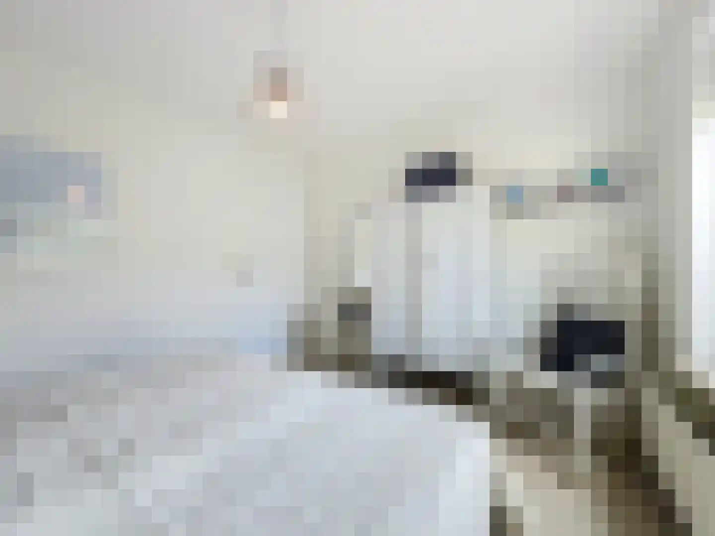 Nieuwesluisweg 34 Breskens thumbnail 23