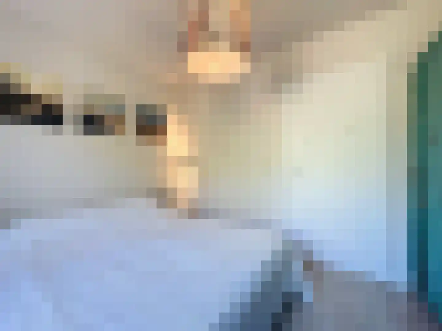 Nieuwesluisweg 34 Breskens thumbnail 29