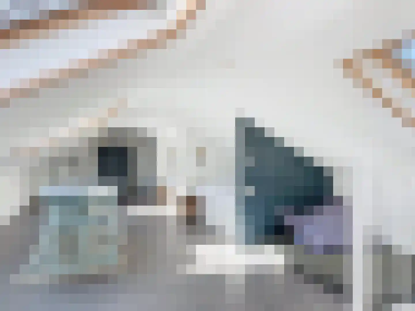 Nieuwesluisweg 34 Breskens thumbnail 33