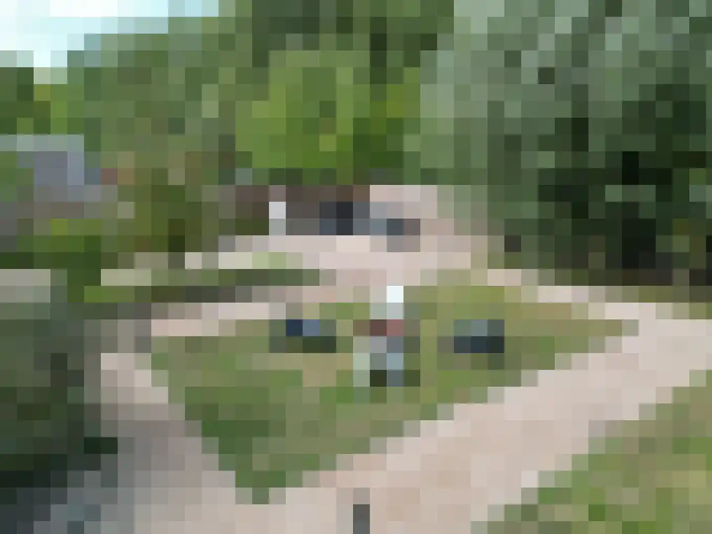 Nieuwesluisweg 34 Breskens thumbnail 39