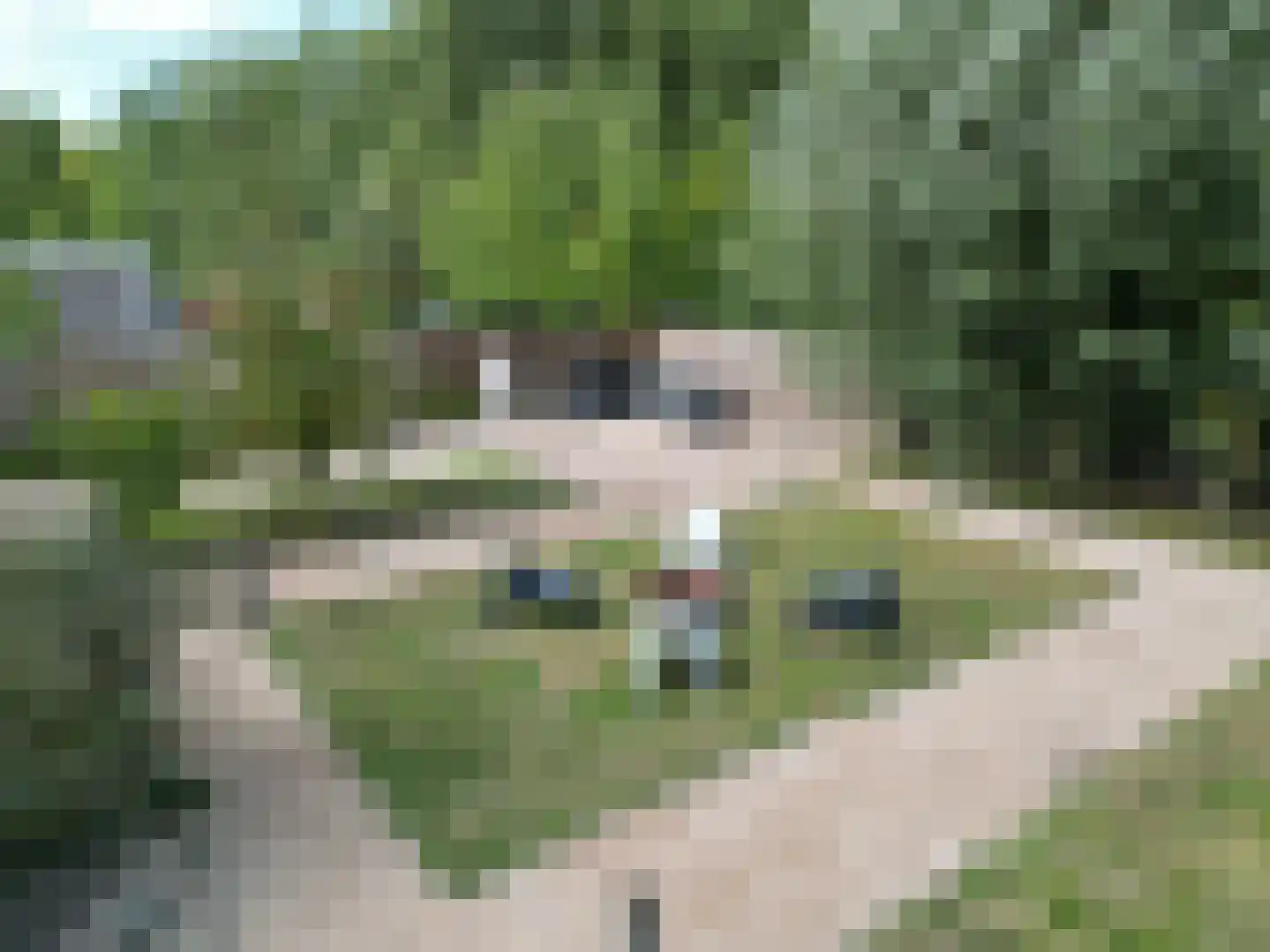 Nieuwesluisweg 34 Breskens thumbnail 39