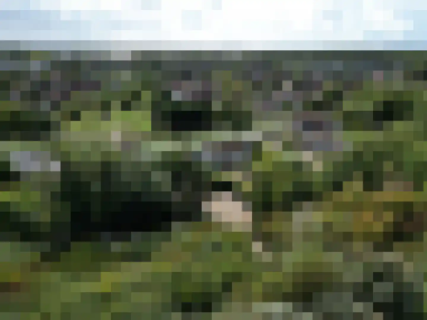 Nieuwesluisweg 34 Breskens thumbnail 4