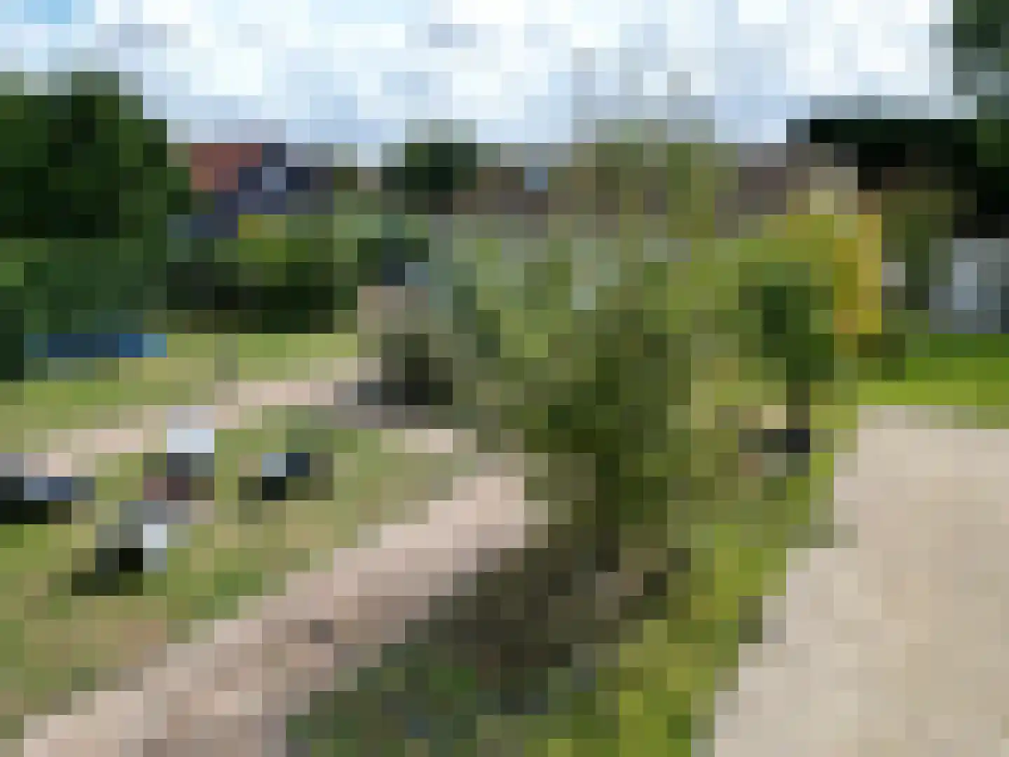 Nieuwesluisweg 34 Breskens thumbnail 42