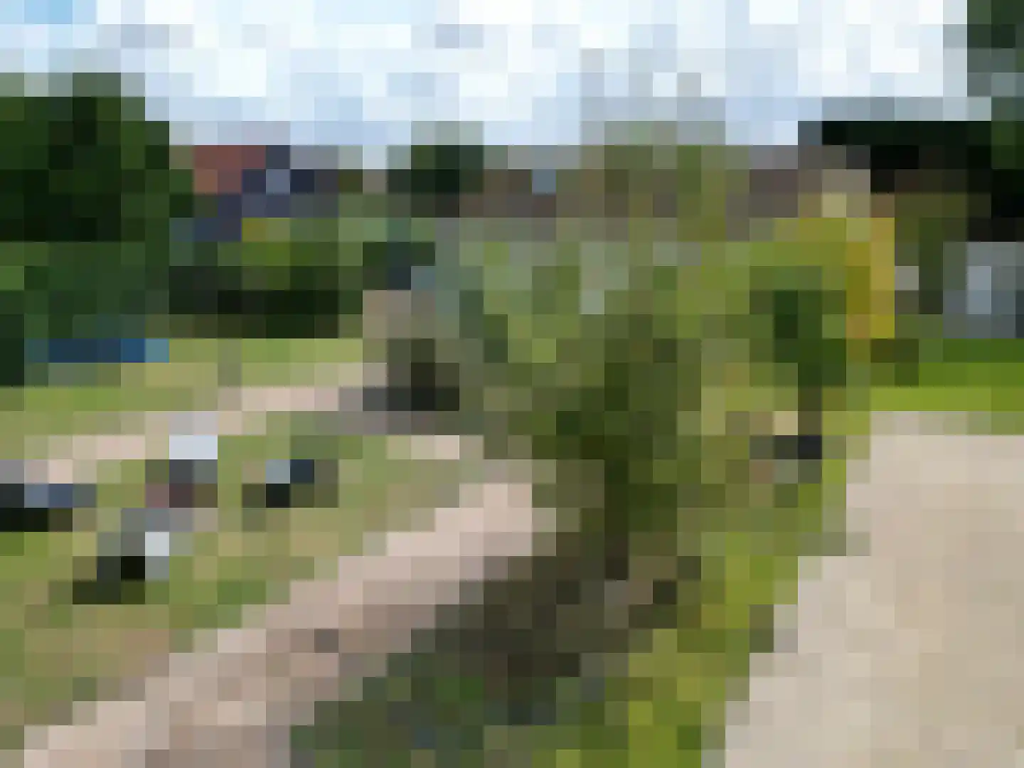 Nieuwesluisweg 34 Breskens thumbnail 42