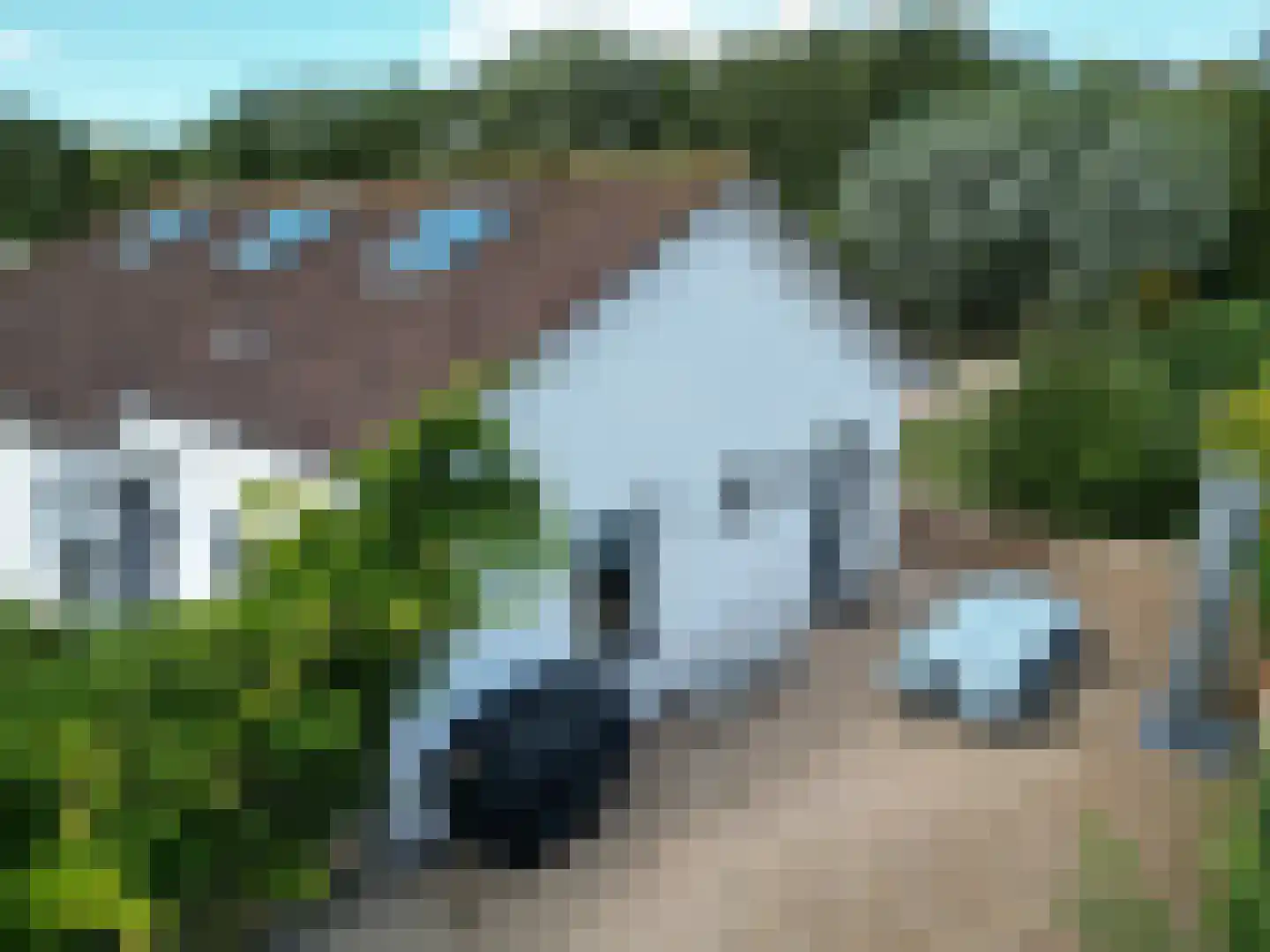 Nieuwesluisweg 34 Breskens thumbnail 43