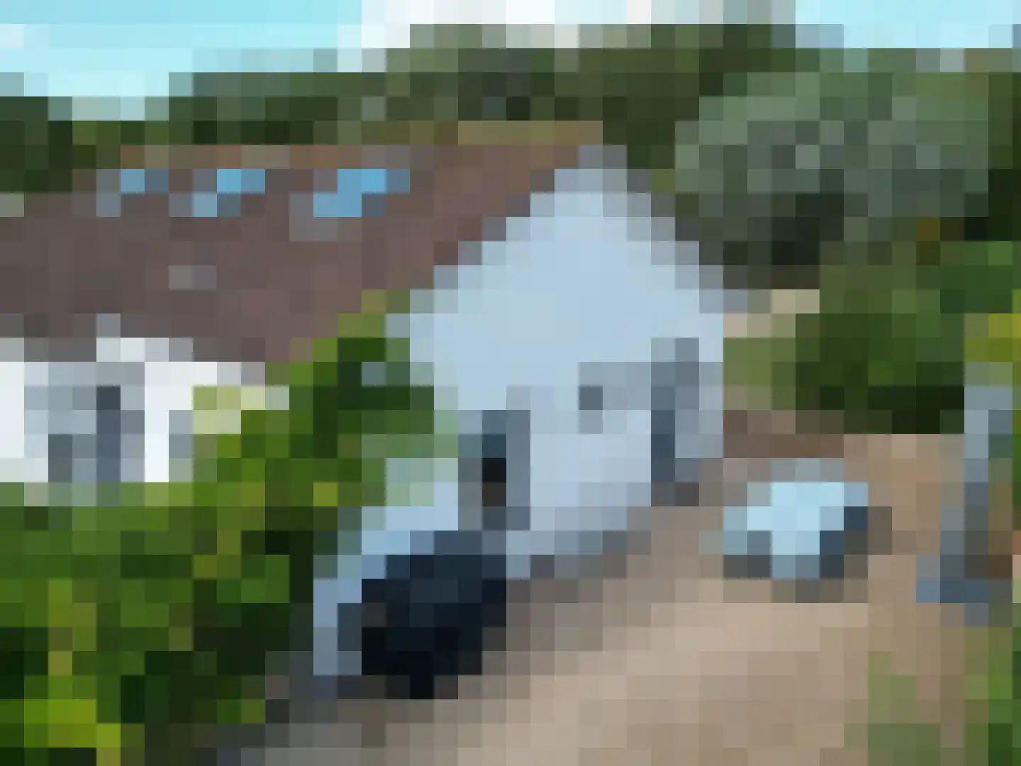 Nieuwesluisweg 34 Breskens thumbnail 43