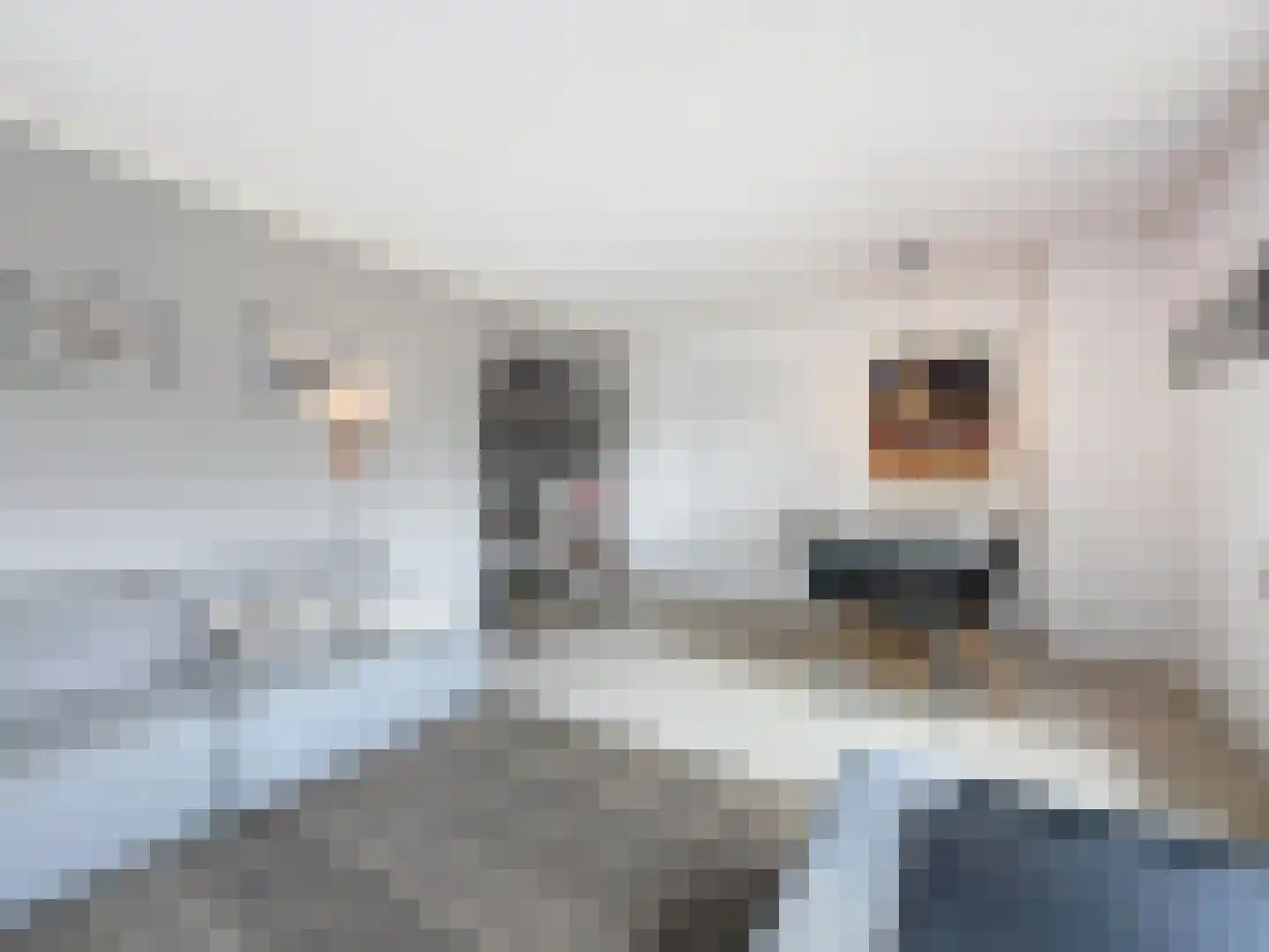 Nieuwesluisweg 34 Breskens thumbnail 9