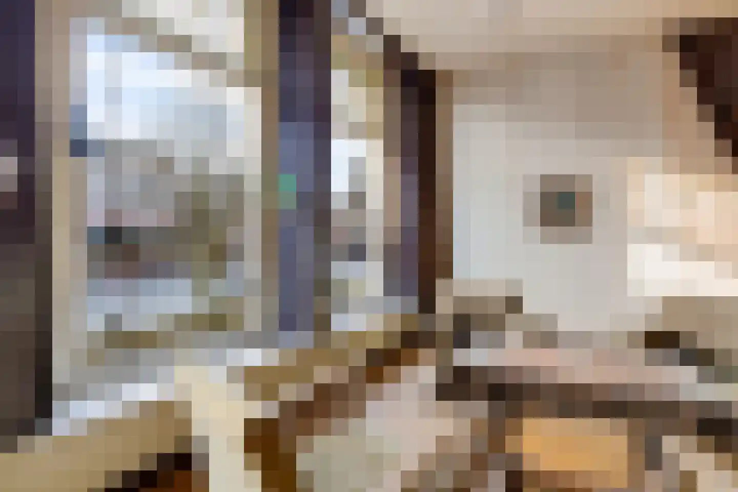 Nieuwestad 123 Leeuwarden thumbnail 17