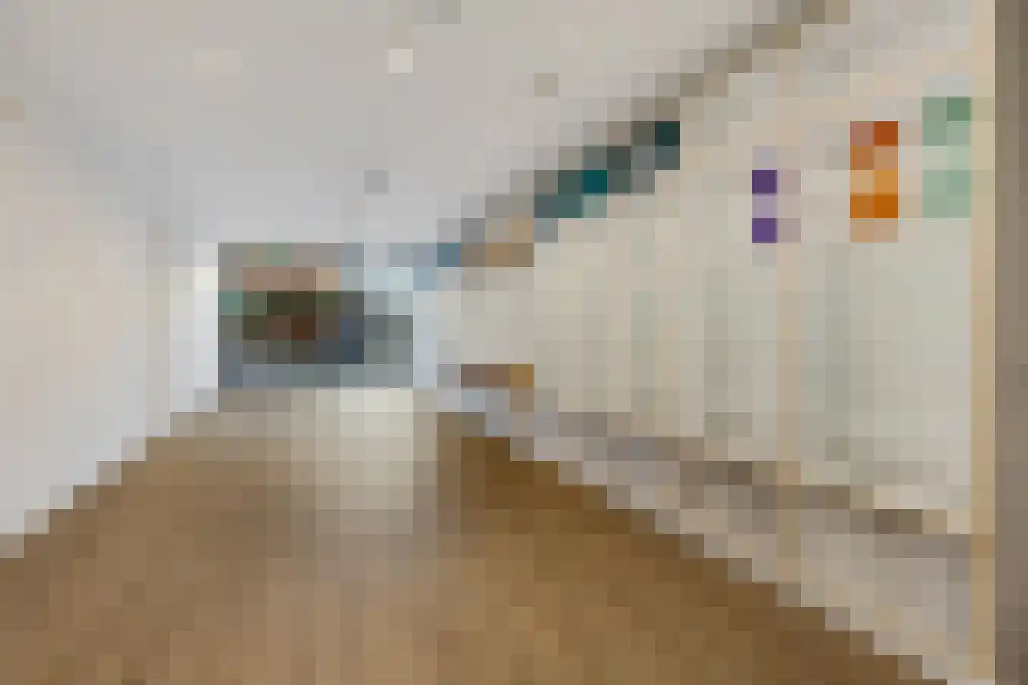 Nieuwestad 123 Leeuwarden thumbnail 38