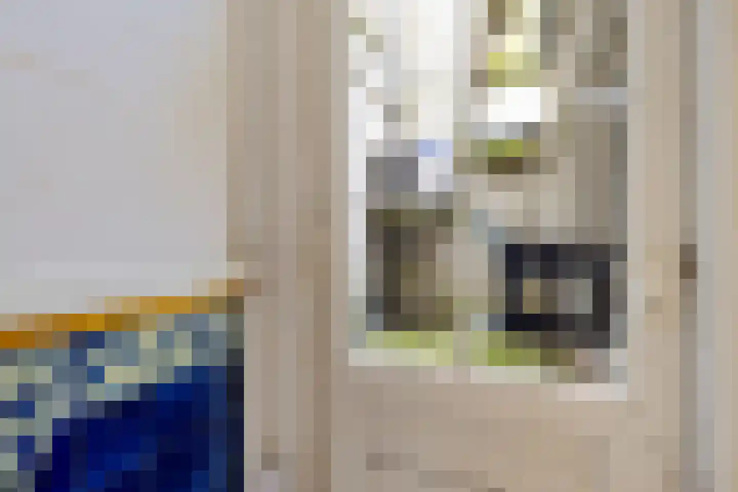 Nieuwestad 123 Leeuwarden thumbnail 43