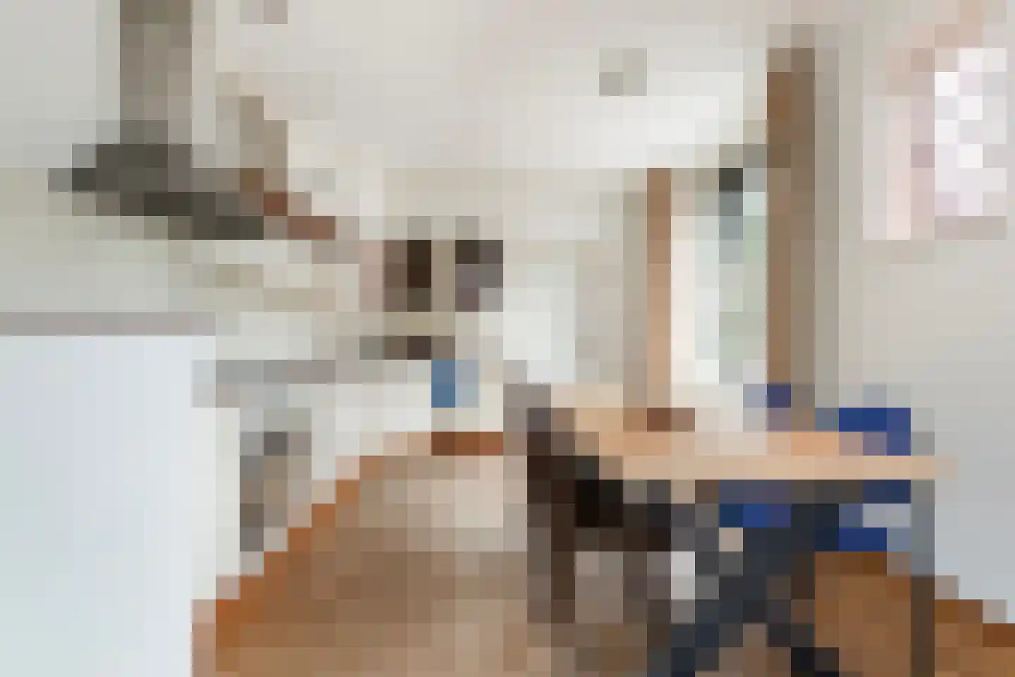 Nieuwestad 8 Leeuwarden thumbnail 23