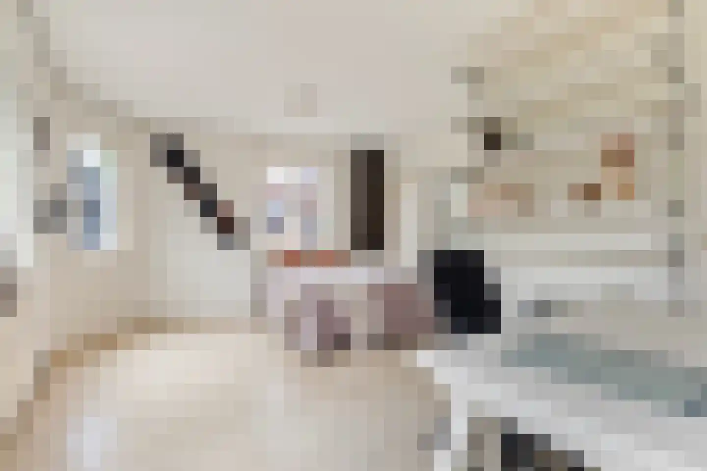 Nieuwestad 8 Leeuwarden thumbnail 29