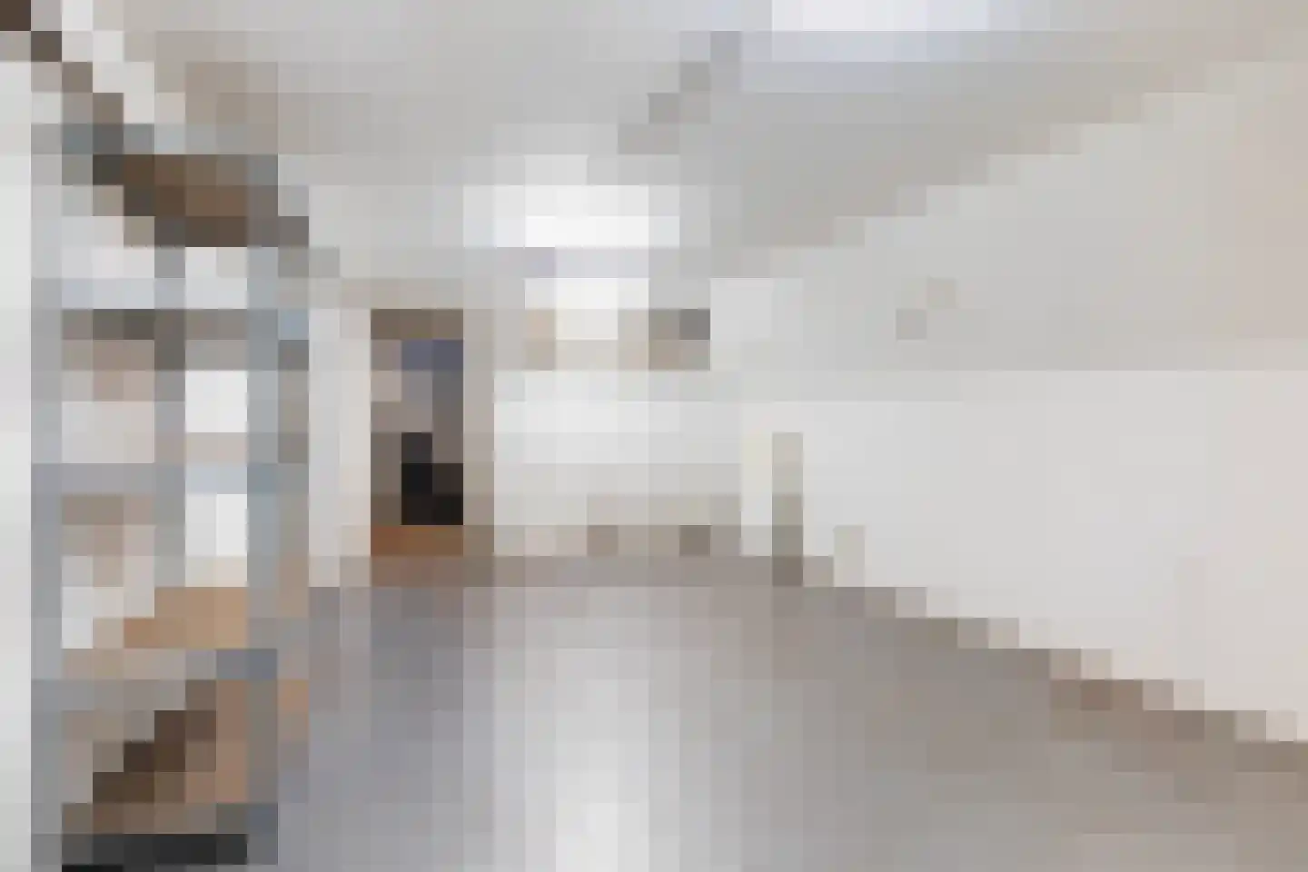 Nieuwestad 8 Leeuwarden thumbnail 39