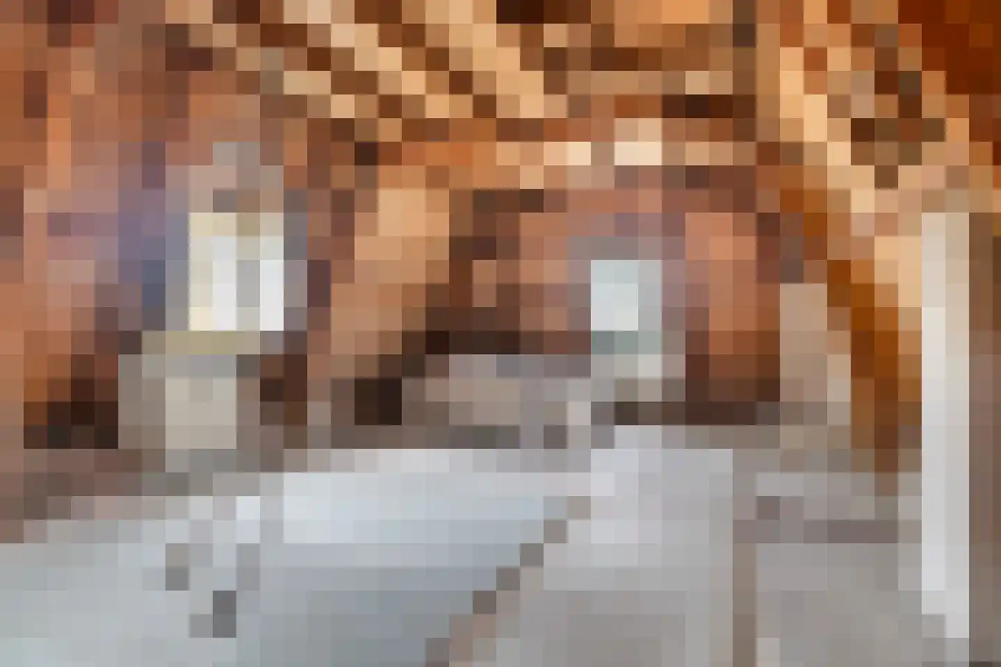 Nieuwestad 8 Leeuwarden thumbnail 41