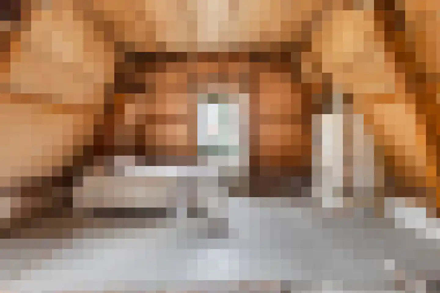 Nieuwestad 8 Leeuwarden thumbnail 42