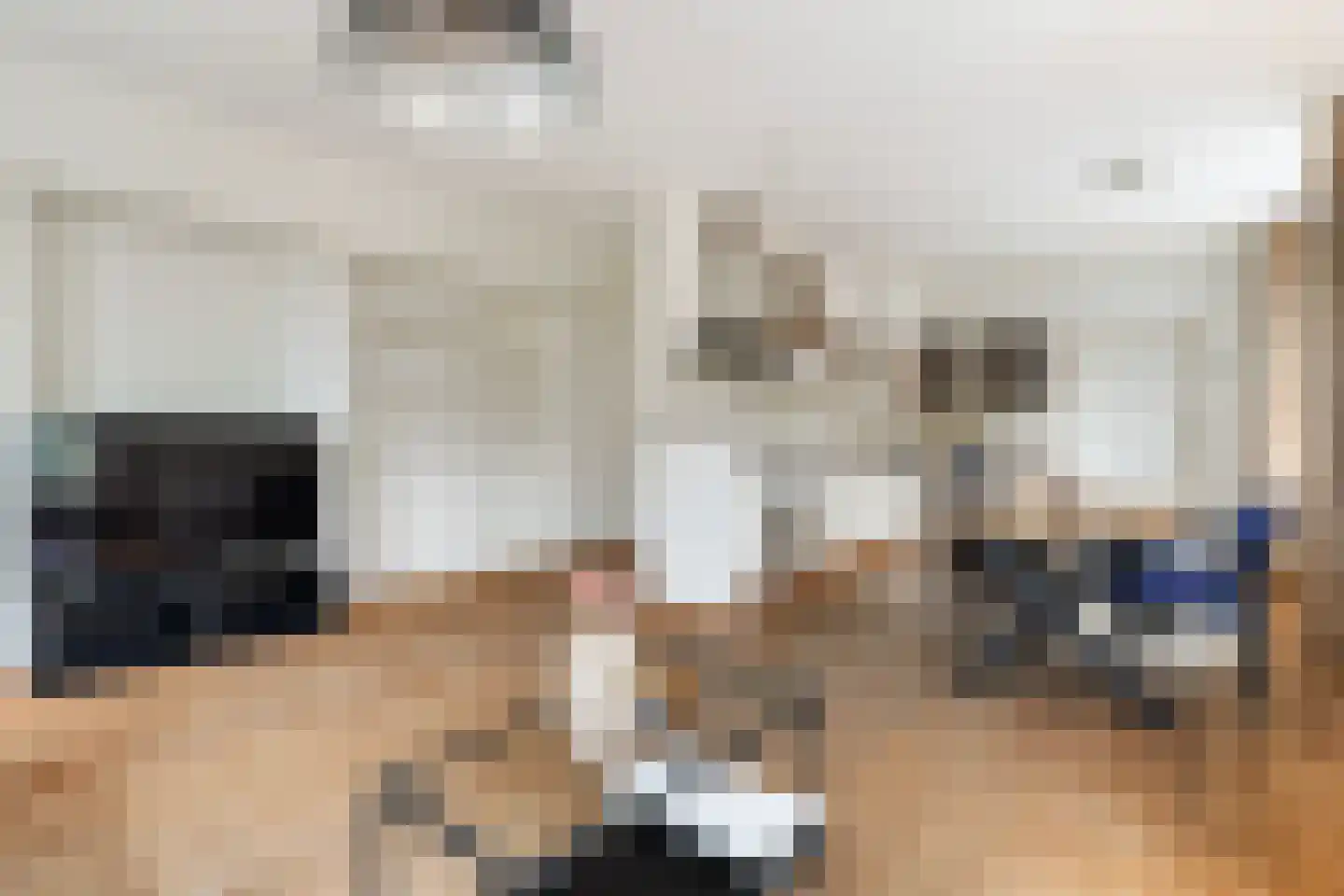 Nieuwestad 8 Leeuwarden thumbnail 5