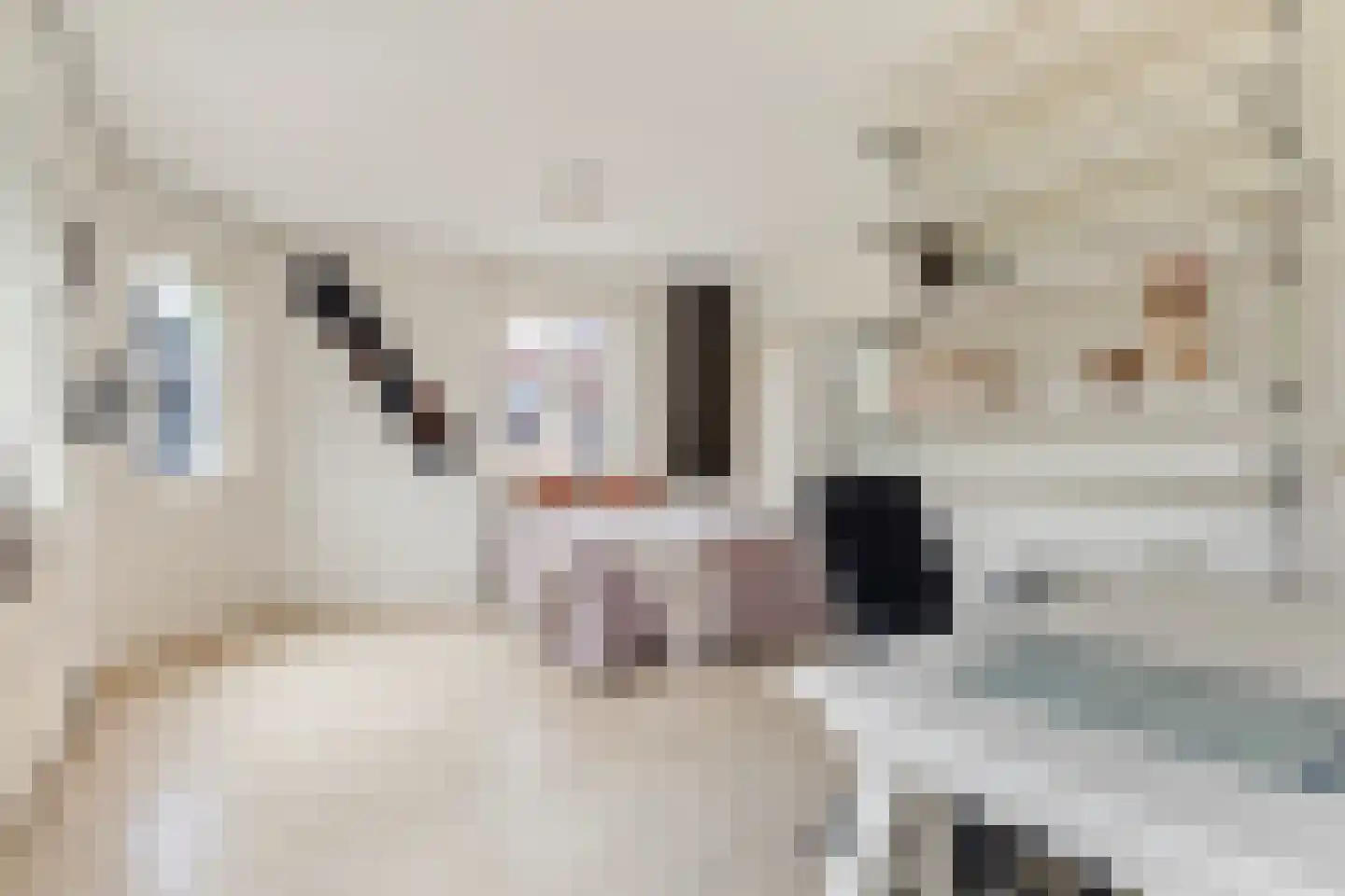 Nieuwestad 8 Leeuwarden thumbnail 6