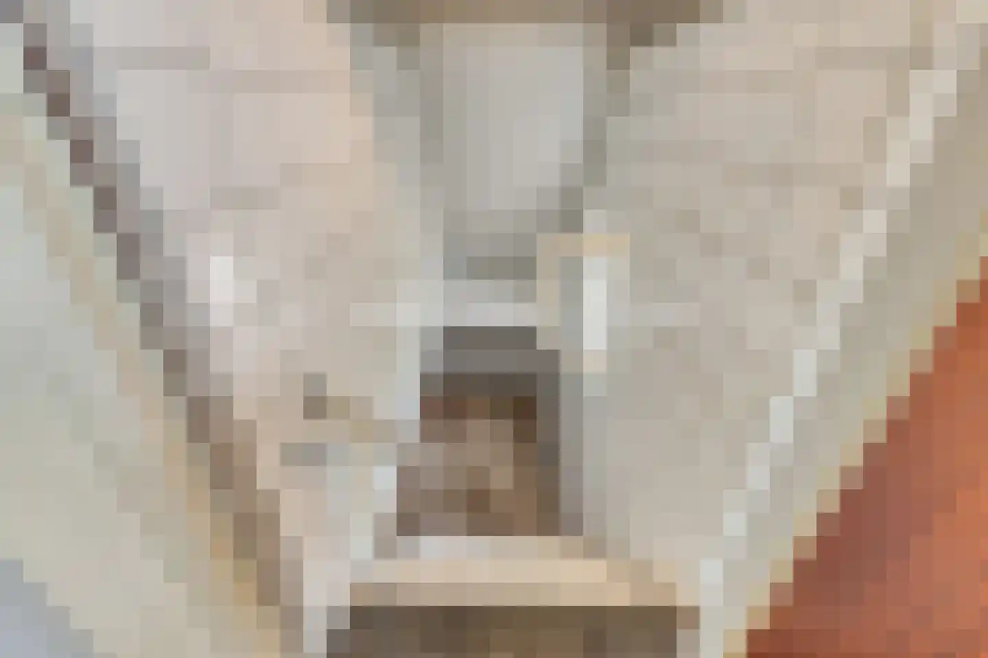 Nieuwestraat 1 Wehl thumbnail 10