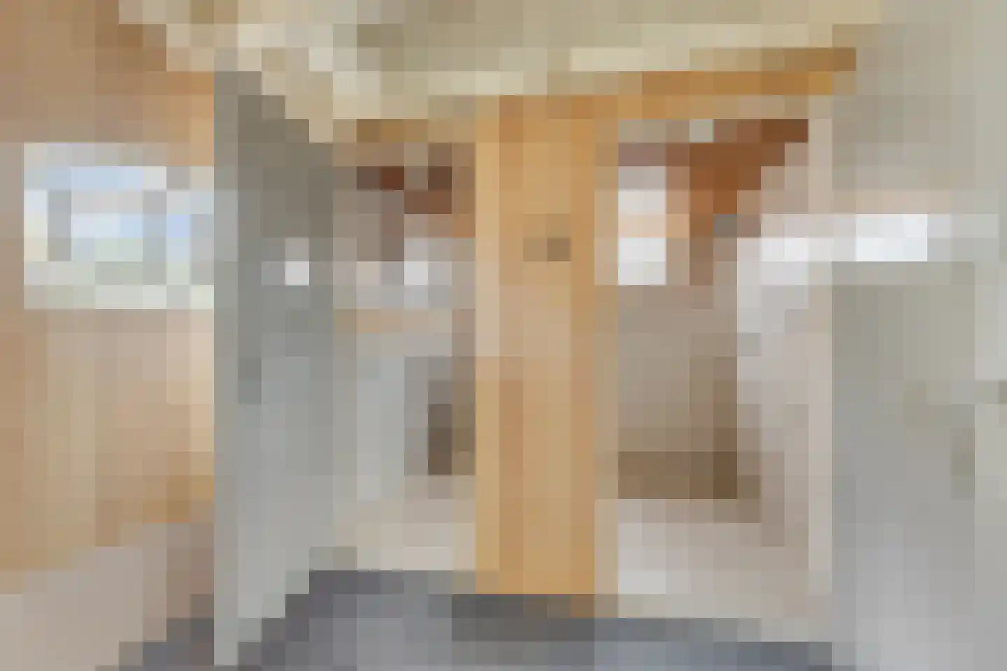 Nieuwestraat 1 Wehl thumbnail 16