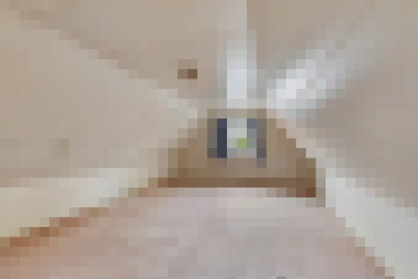 Nieuwestraat 1 Wehl thumbnail 20