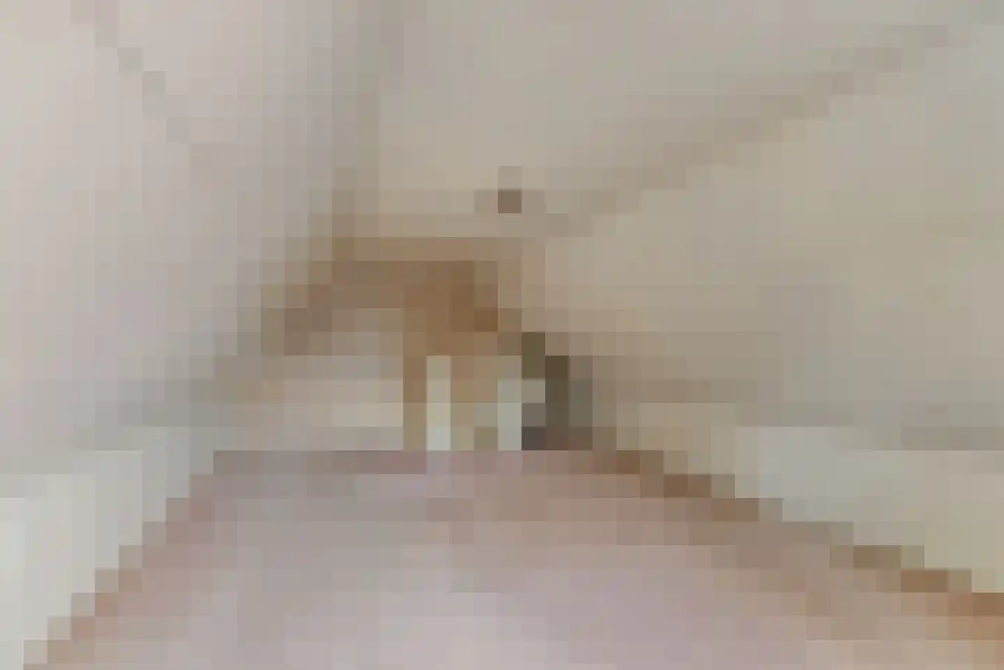 Nieuwestraat 1 Wehl thumbnail 21