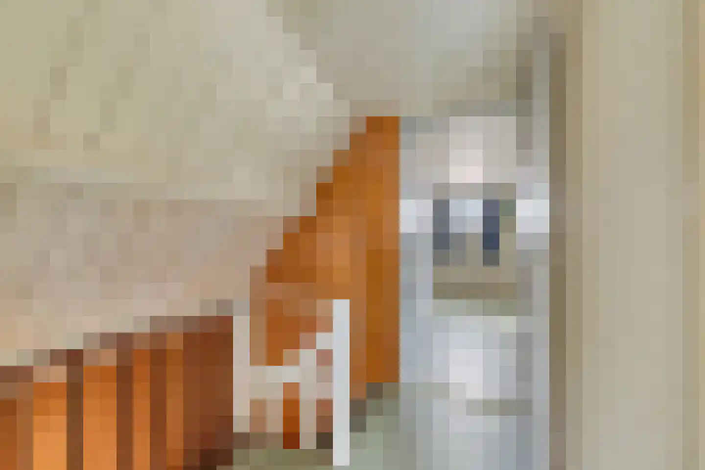 Nieuwestraat 1 Wehl thumbnail 25