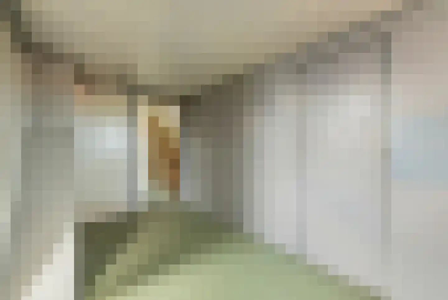 Nieuwestraat 1 Wehl thumbnail 29