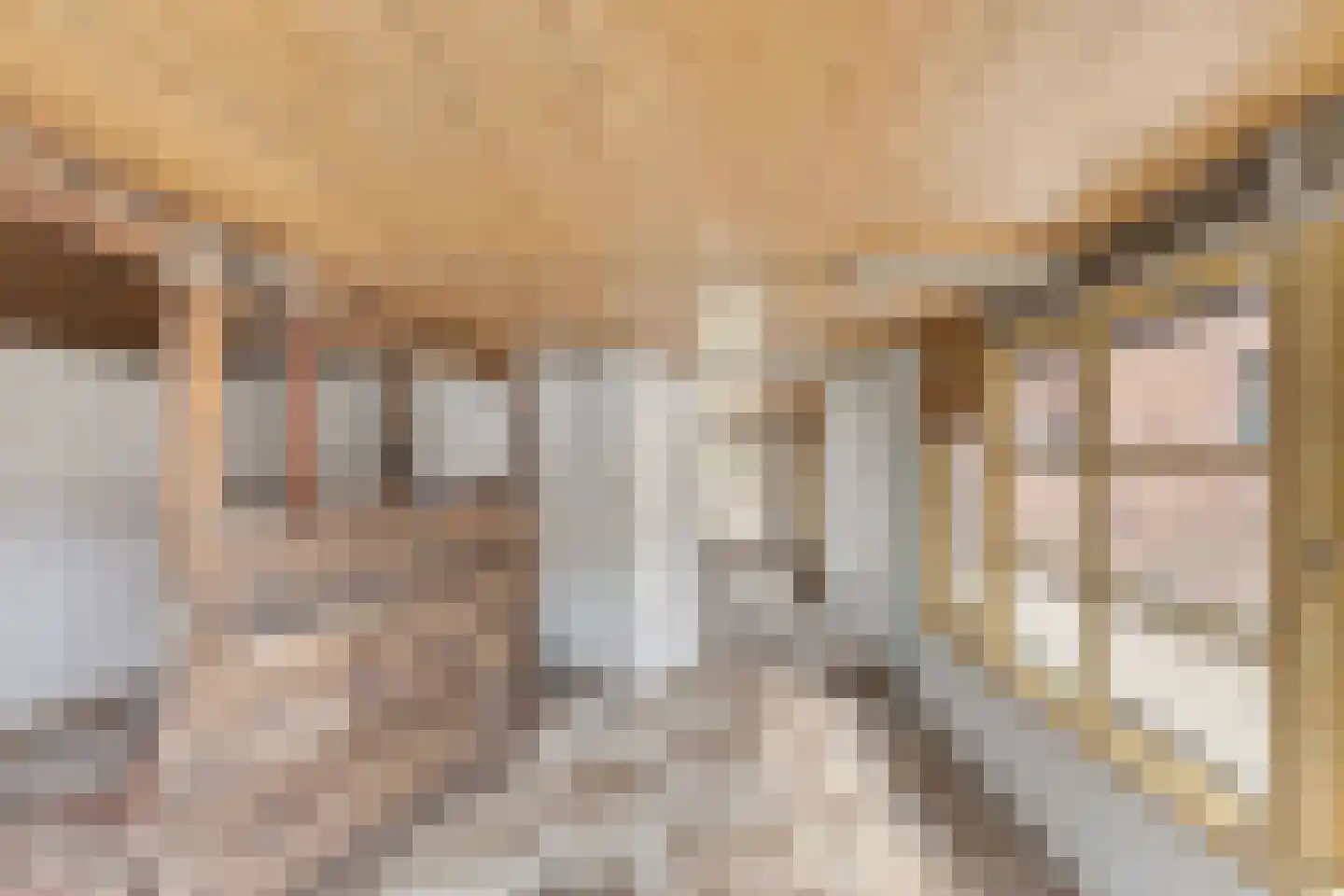 Nieuwestraat 1 Wehl thumbnail 33