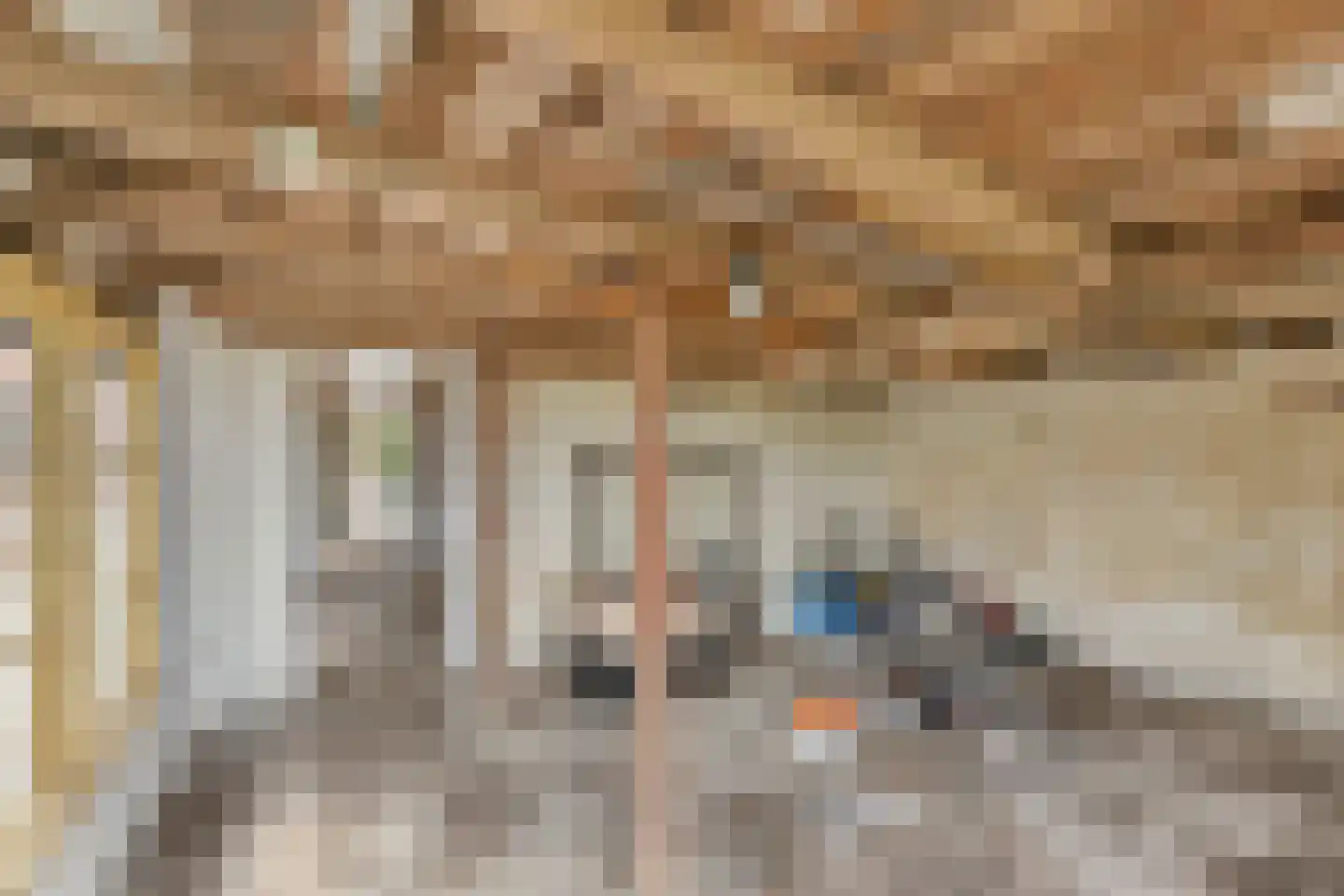 Nieuwestraat 1 Wehl thumbnail 36