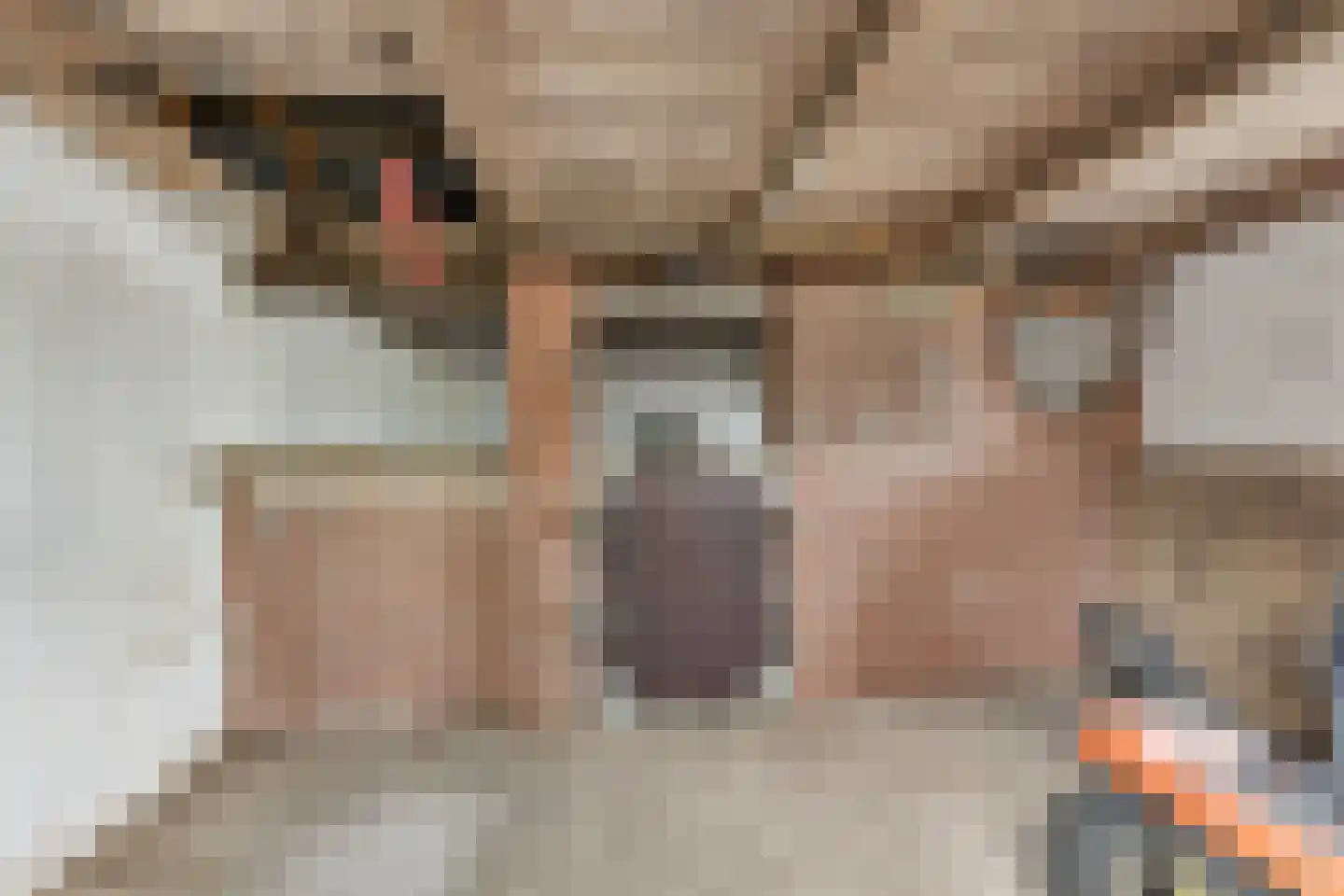 Nieuwestraat 1 Wehl thumbnail 40