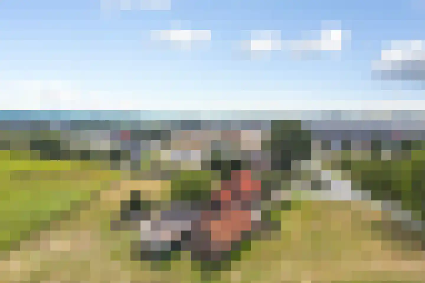 Nieuwestraat 1 Wehl thumbnail 44