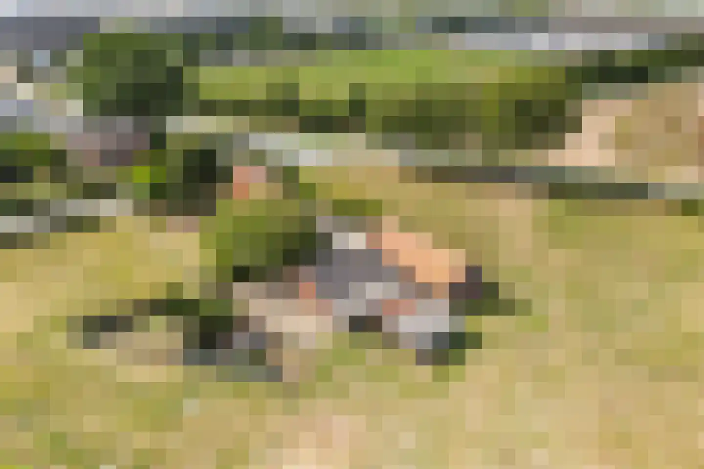 Nieuwestraat 1 Wehl thumbnail 46