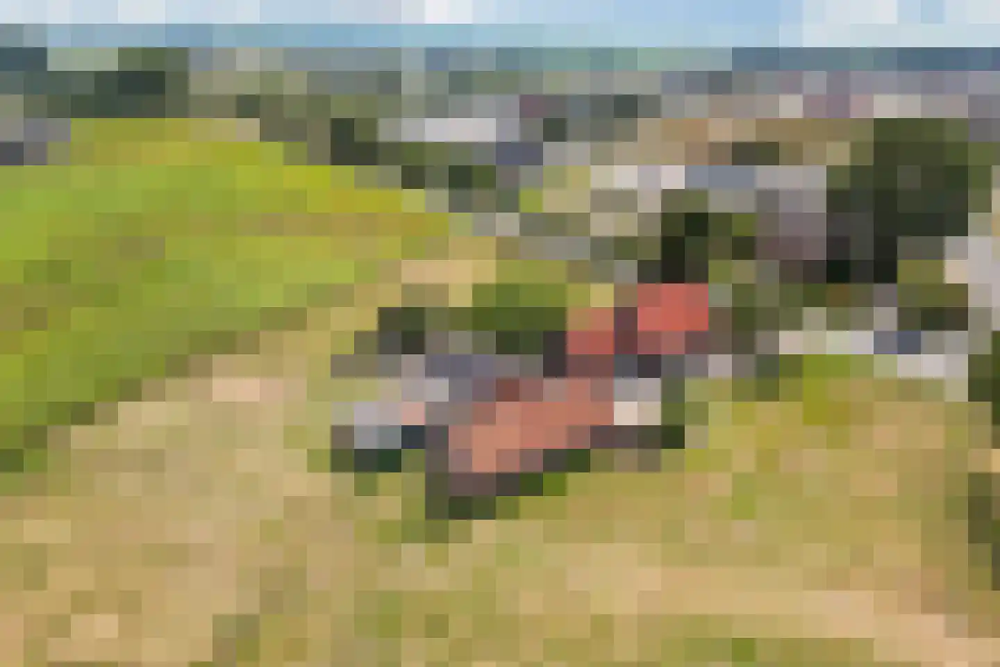 Nieuwestraat 1 Wehl thumbnail 47