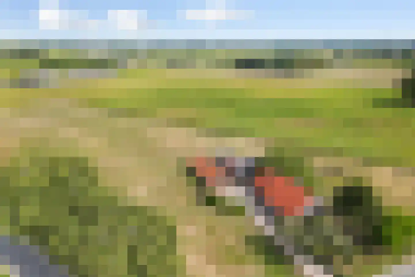 Nieuwestraat 1 Wehl thumbnail 48