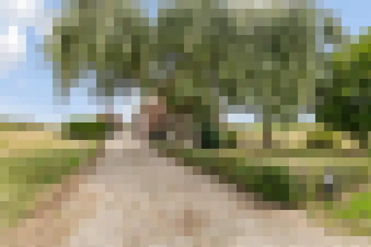 Nieuwestraat 1 Wehl thumbnail 5
