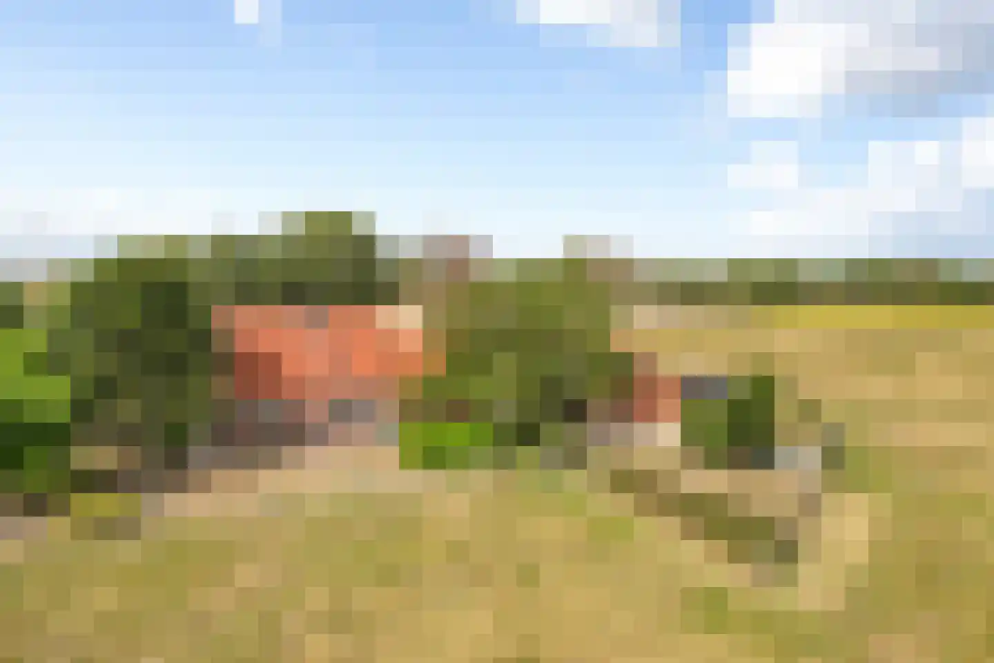 Nieuwestraat 1 Wehl thumbnail 50