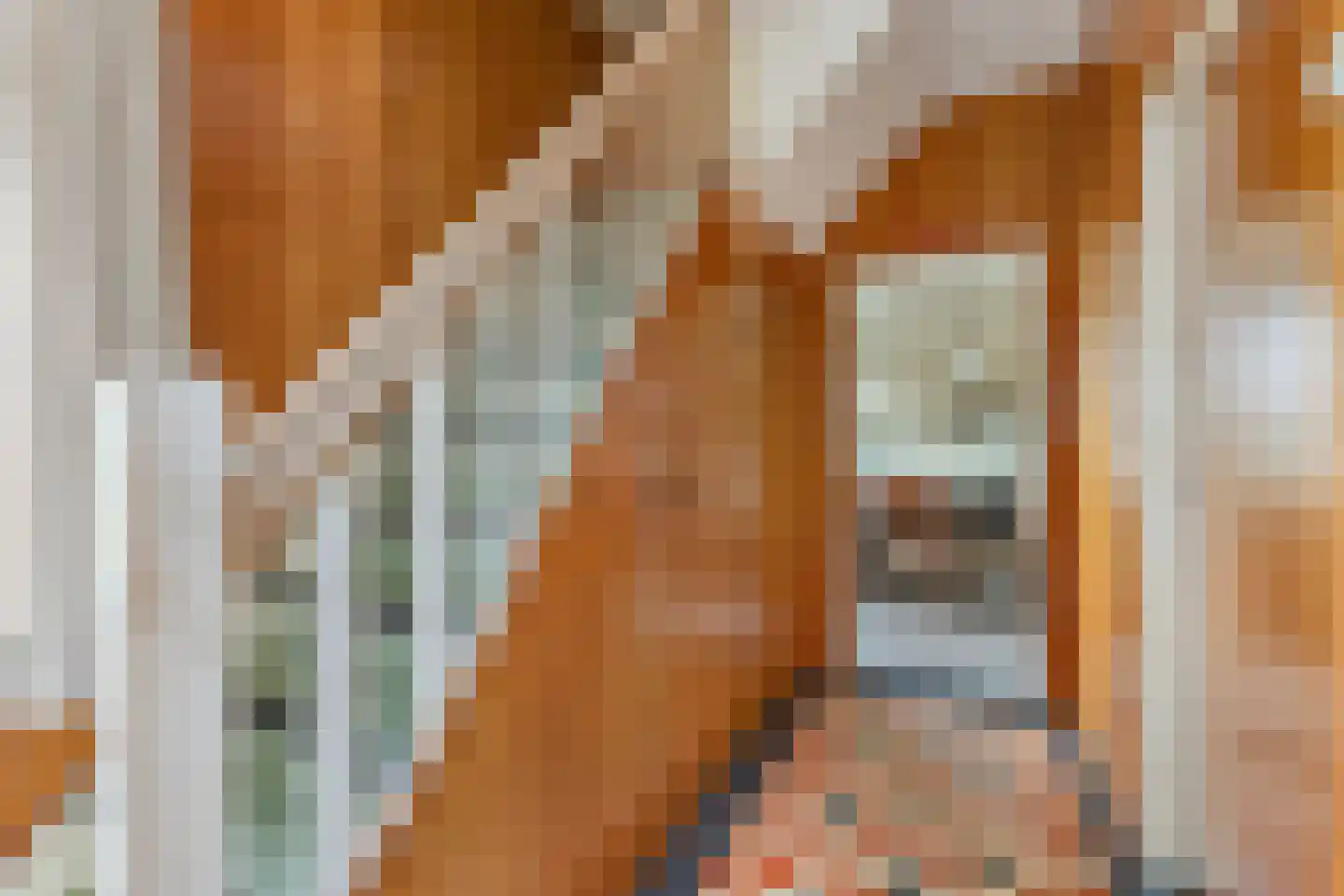 Nieuwestraat 1 Wehl thumbnail 8