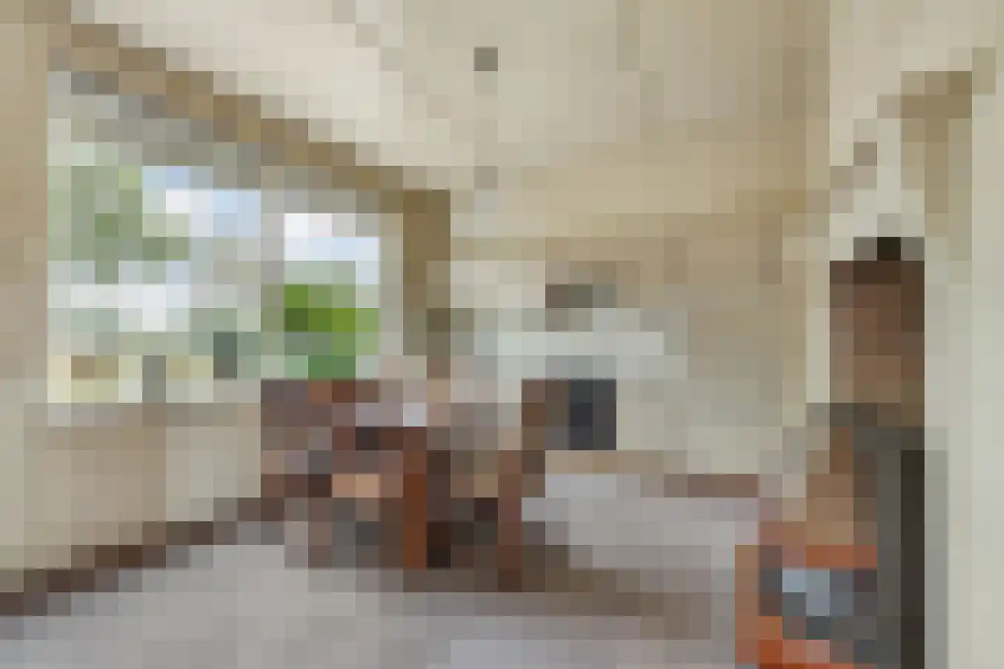 Nieuwestraat 1 Wehl thumbnail 9