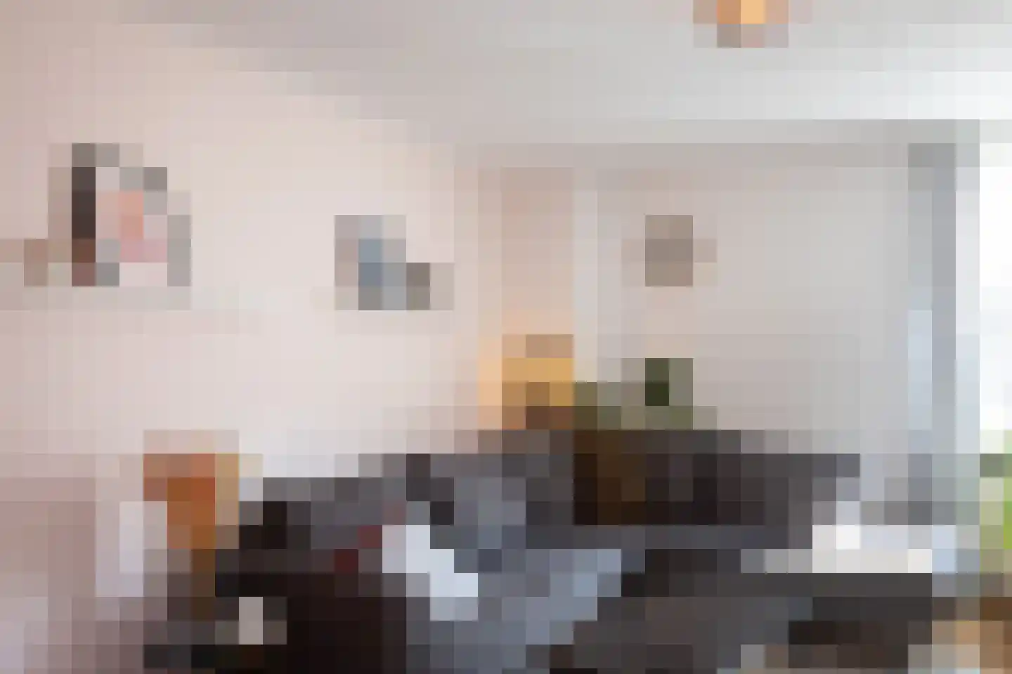 Nieuwestraat 21 Groenlo thumbnail 10