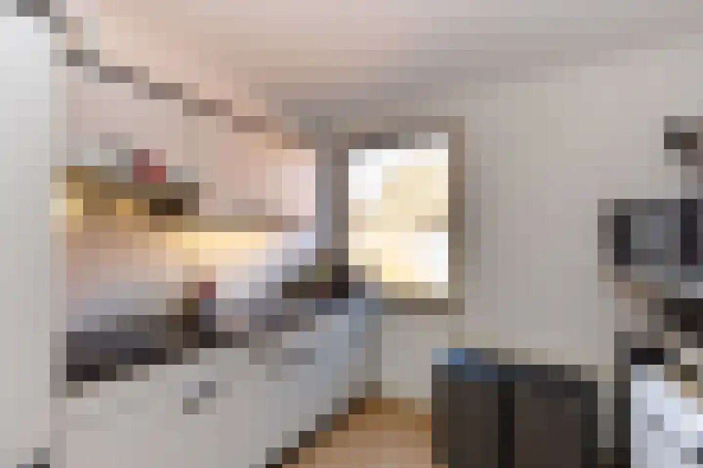 Nieuwestraat 21 Groenlo thumbnail 14