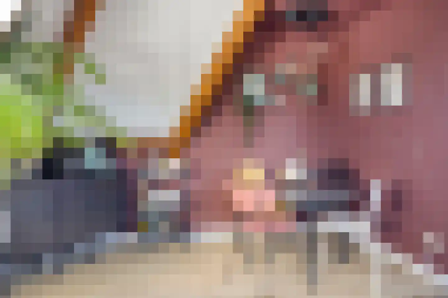 Nieuwestraat 27 a Groenlo thumbnail 13